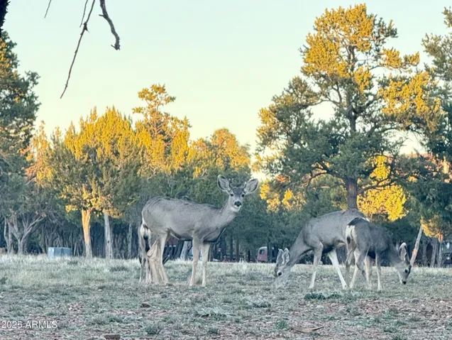 Meet the Neighbors!