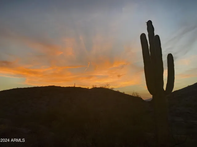 780