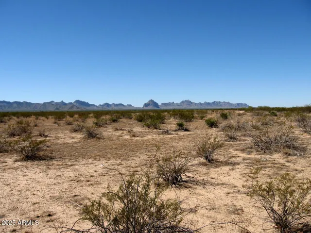 780