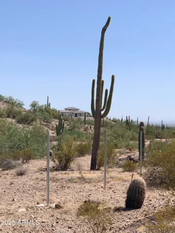 780