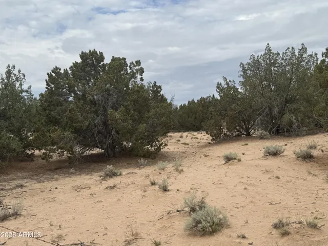 780