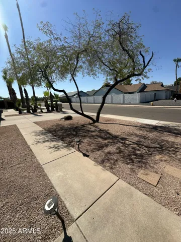 780
