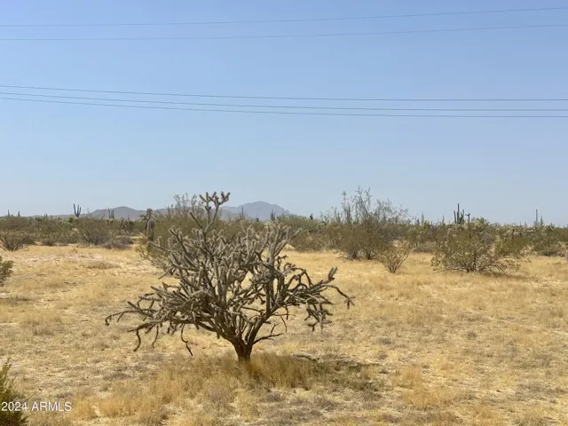 780