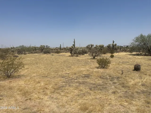 780