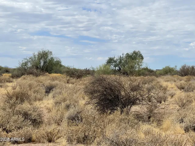 780