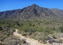 780