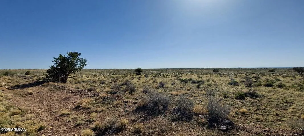 780