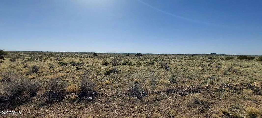 780