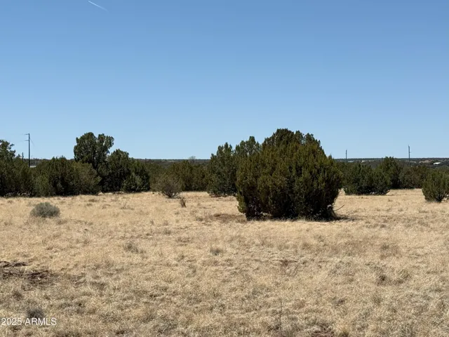 780