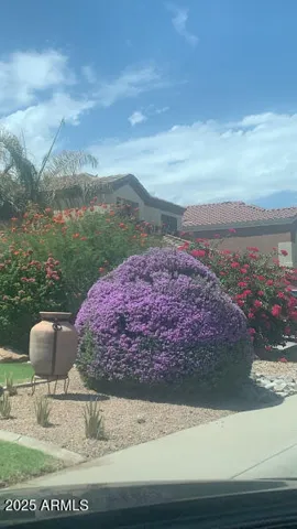 780