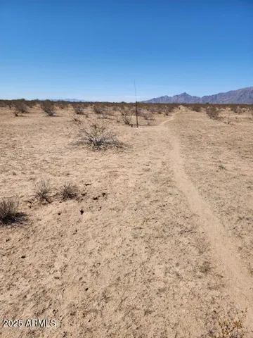 780