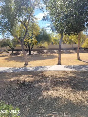 780