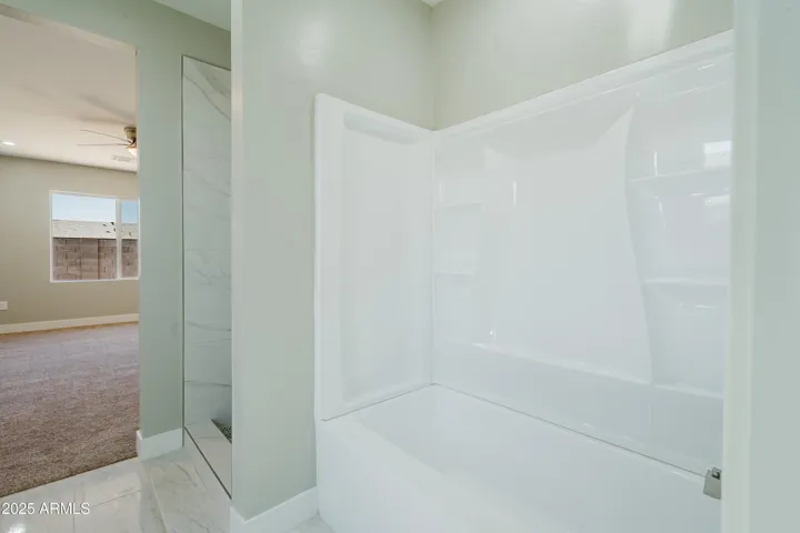 Master Shower