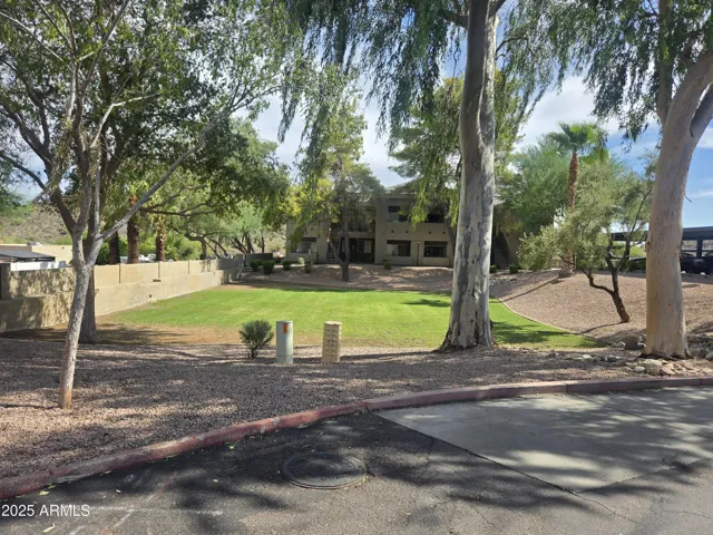 Grassy Common Areas