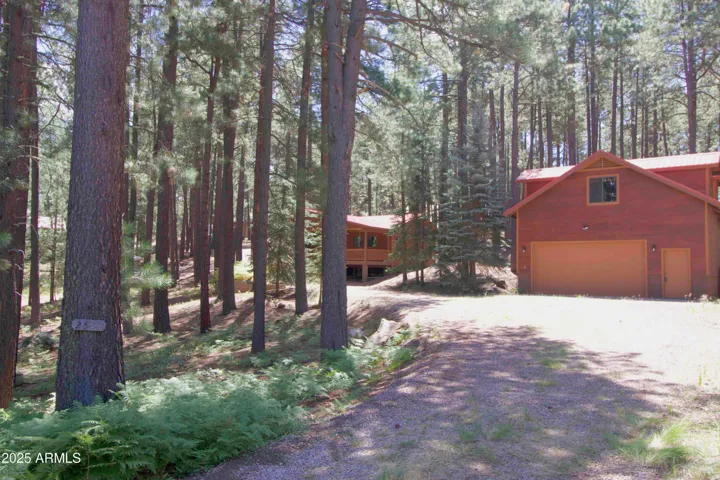 Tranquil in the pines.