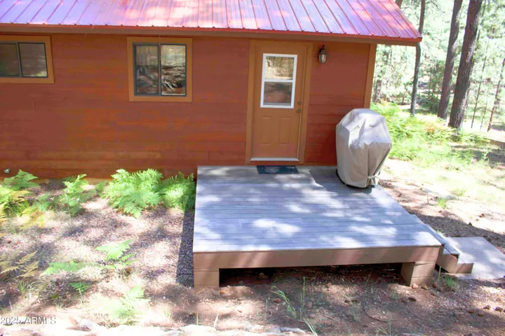 Back ipe deck