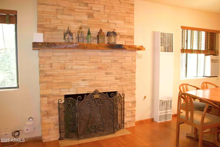 Gas fireplace and gas wall furnace