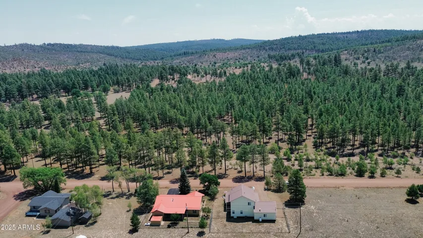 540 Rim Drive Pinedale, AZ 85934