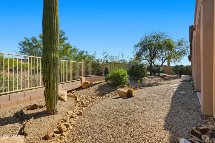 Side yard