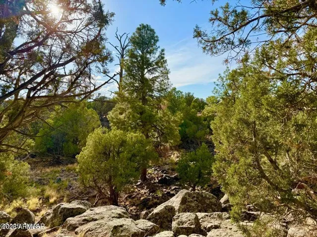 1842  Rocky Bottom  Place, Show Low, AZ 85901