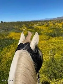 Trail riding off property