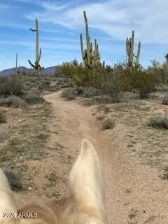 Trail riding with friends