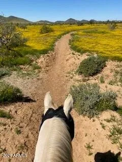 Ride off your property!