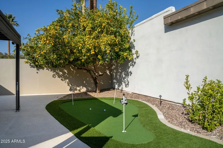 Notice the lemon tree too!