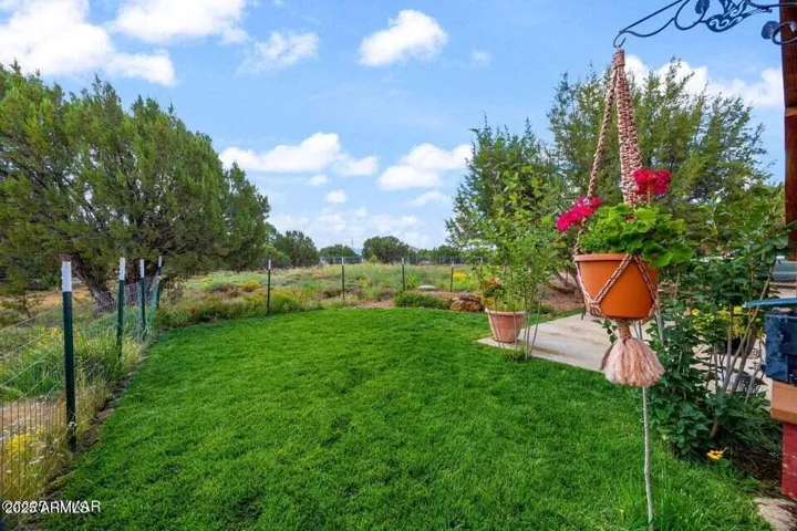 Lush green grass in front yard