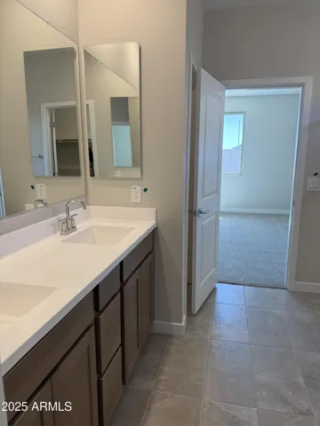 Primary Bathroom Vanity