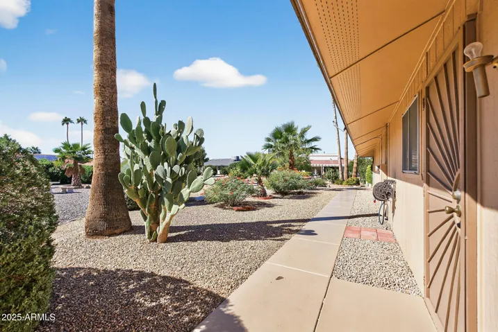 Side Yard