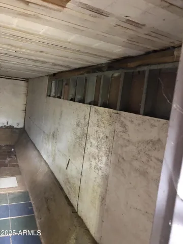 Storage, Mushroom Grower, Wine Cellar, Safety - You Name It!