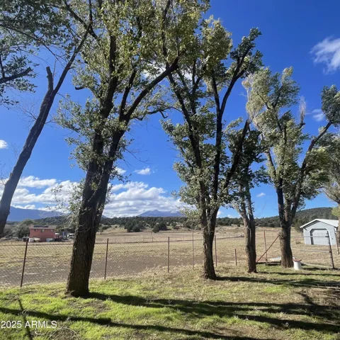 Separate Gated and Fenced Yard