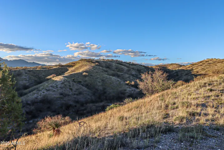 Rolling grasslands and endless views