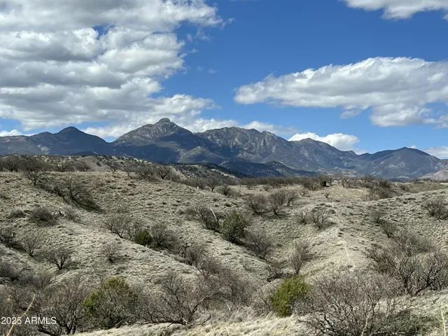 Stunning views of Mt. Wrightson.