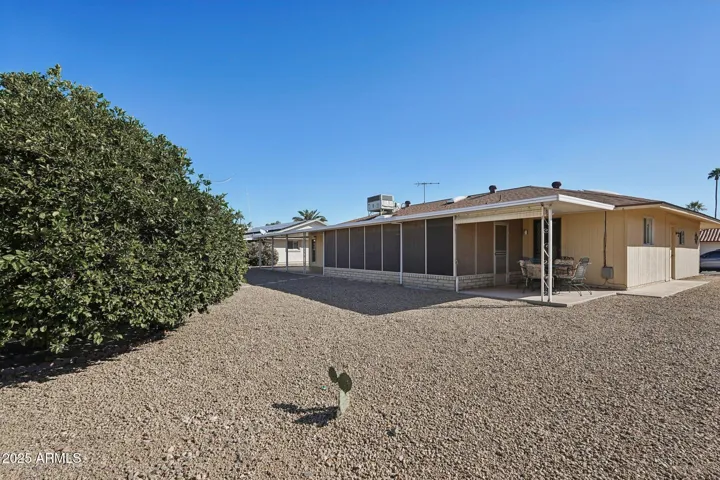 Large Back yard w Mature Palms & Citrus
