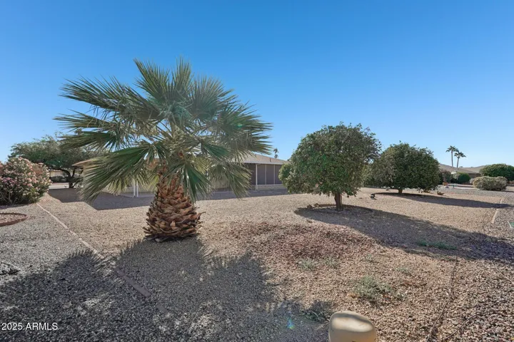 Large Back yard w Mature Palms & Citrus