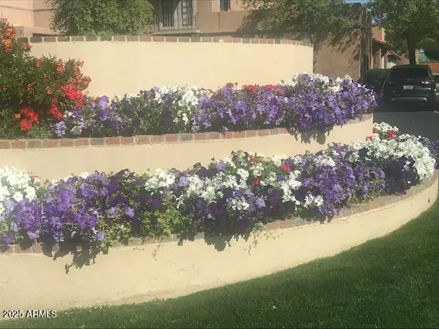 Flowers greet you.