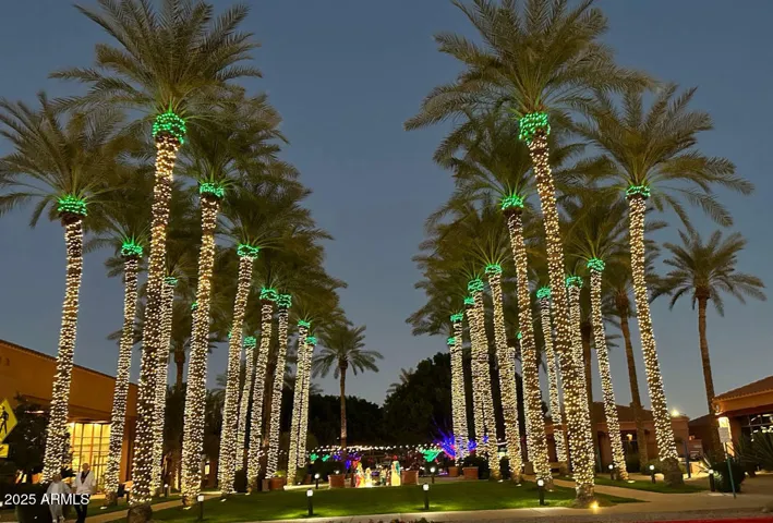 December lights