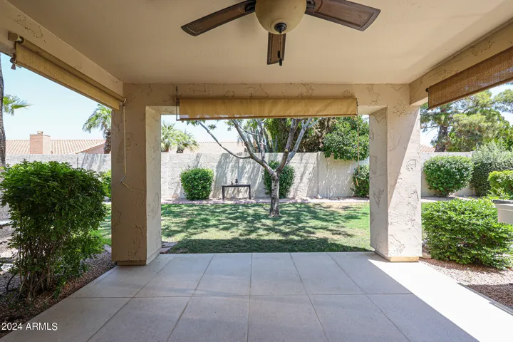 Back Patio View 1