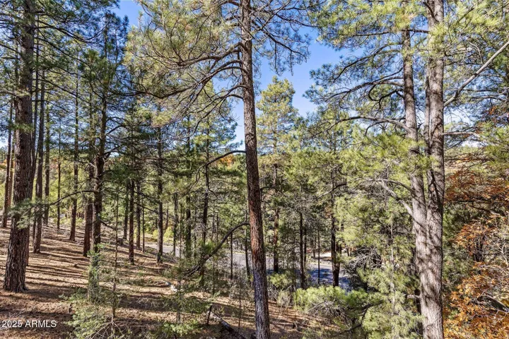Privacy in the Pines