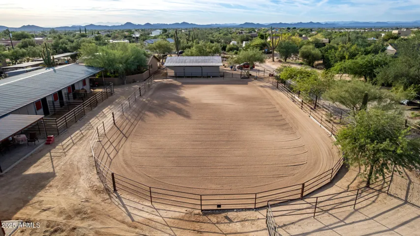 Arena