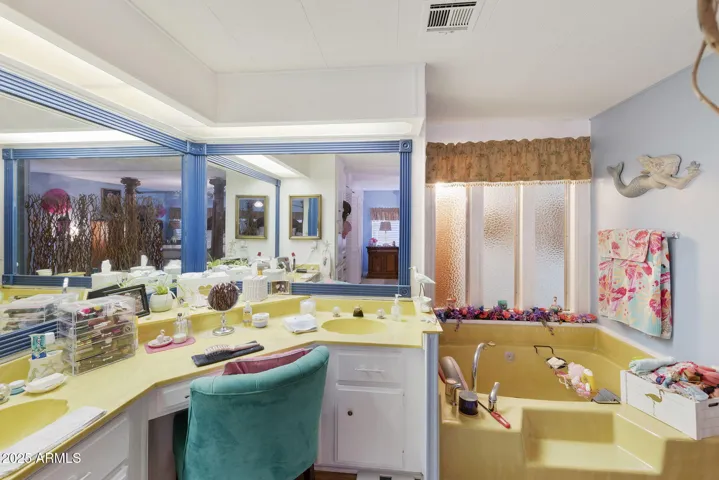 Master Bath vanity and tub