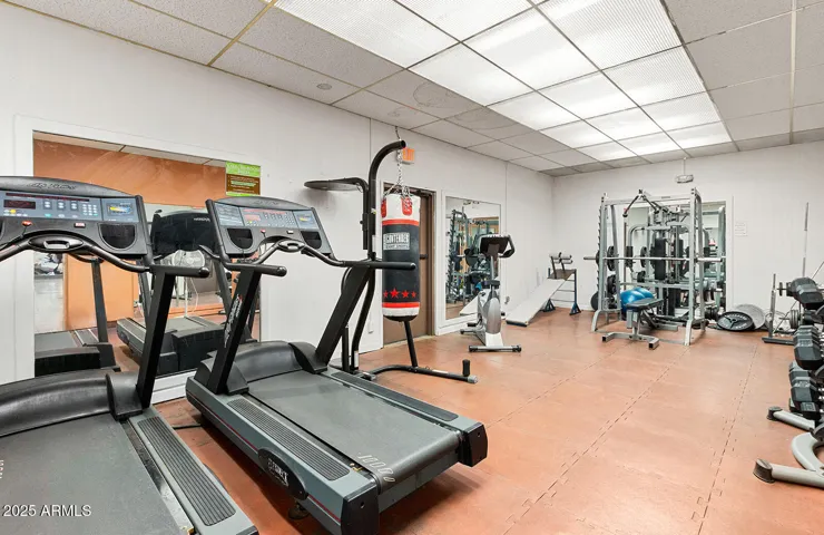 all that you need, weights and cardio