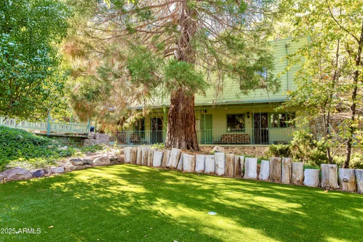 Low Maintenance Turf Backyard, Redwood Sequoia