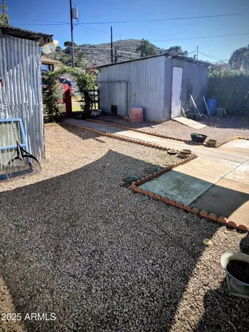 Back yard