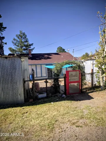 Back yard