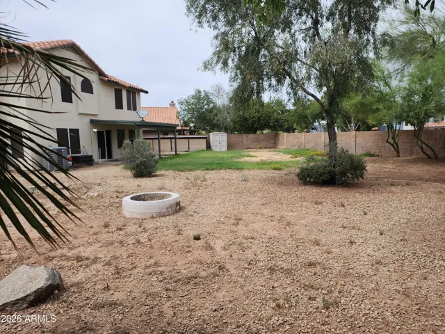 Back Yard
