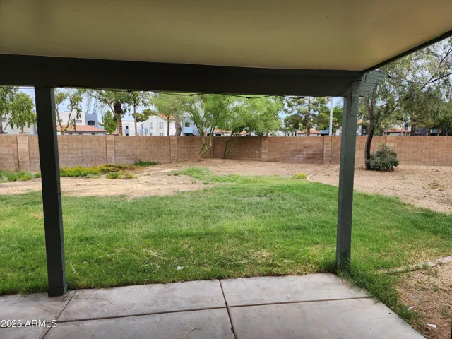 Back Yard from Arcadia Door