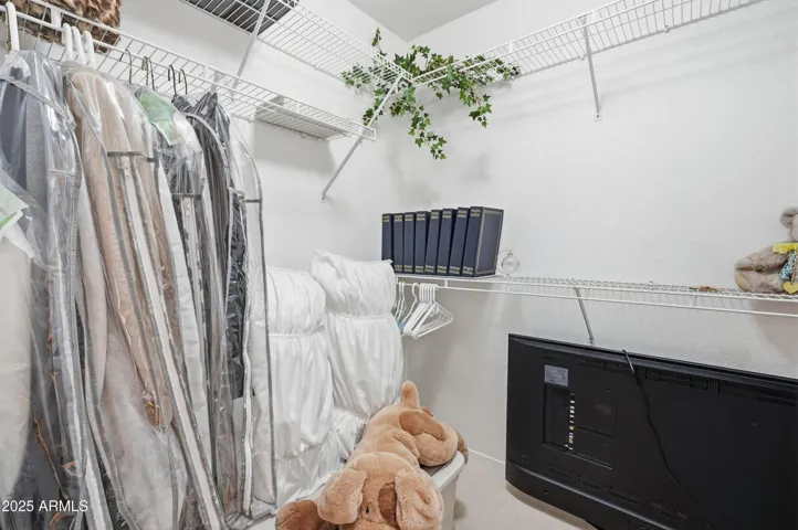 Walk in Closet with window for added light!